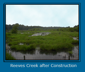 Reeves Creek