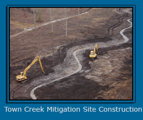 Town Creek