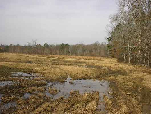 Flint River