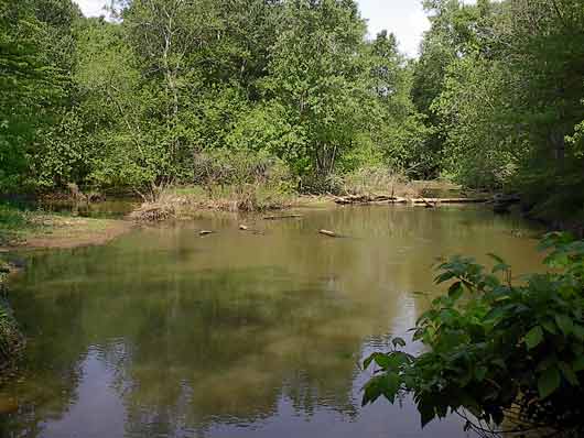 Flint River